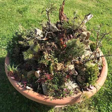 Antichi Casali 리조트 카스텔 델 피아노