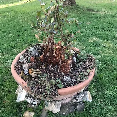 리조트 Antichi Casali *