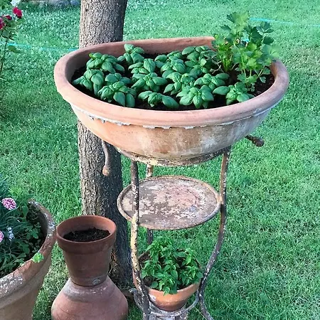 Antichi Casali 리조트