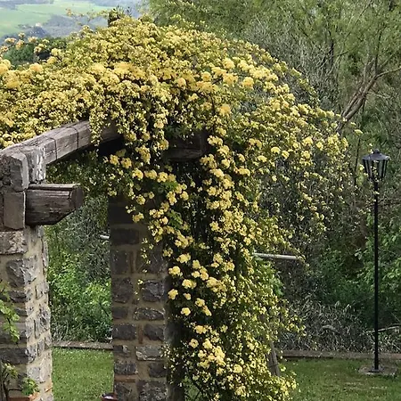 Antichi Casali Resort Castel del Piano (Tuscany)