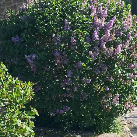 Antichi Casali 리조트